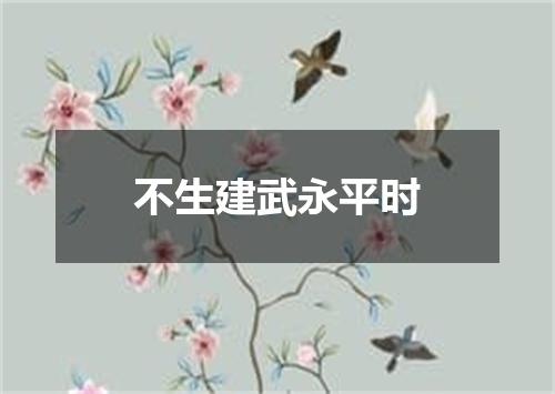 不生建武永平时