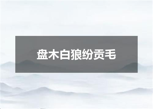 盘木白狼纷贡毛