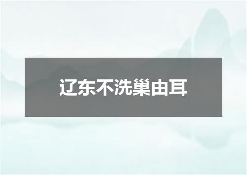 辽东不洗巢由耳