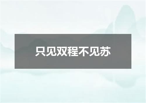 只见双程不见苏