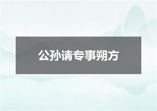 公孙请专事朔方