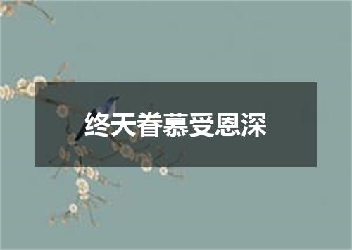 终天眷慕受恩深