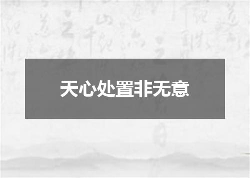 天心处置非无意