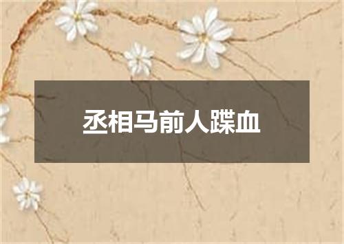 丞相马前人蹀血