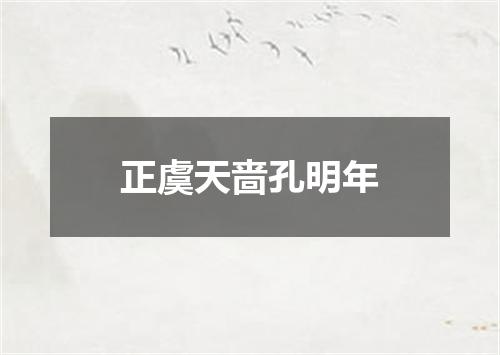 正虞天啬孔明年