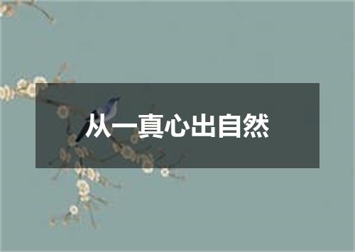 从一真心出自然