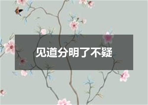 见道分明了不疑
