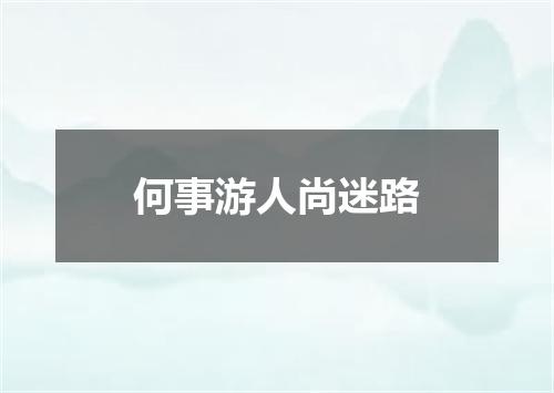 何事游人尚迷路