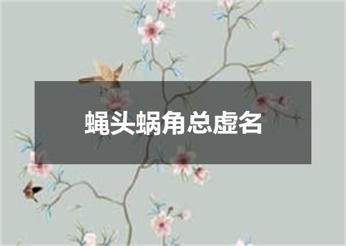 蝇头蜗角总虚名