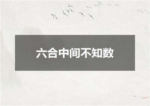 六合中间不知数