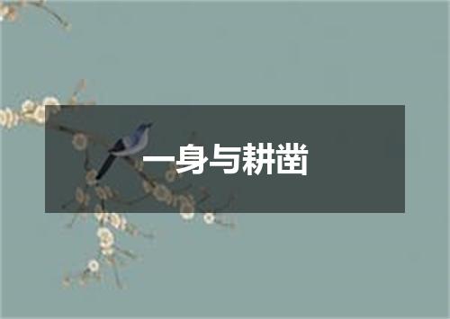 一身与耕凿