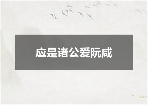 应是诸公爱阮咸