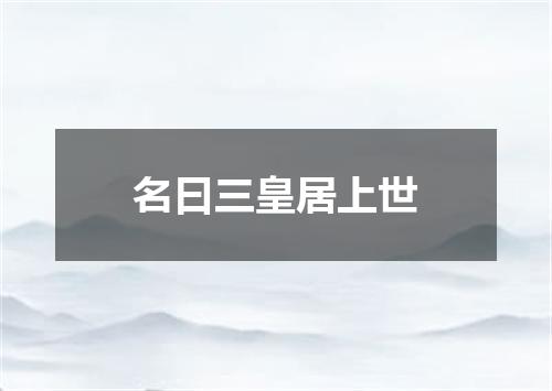 名曰三皇居上世
