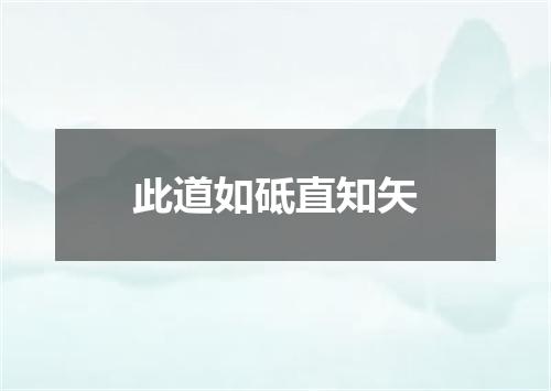 此道如砥直知矢