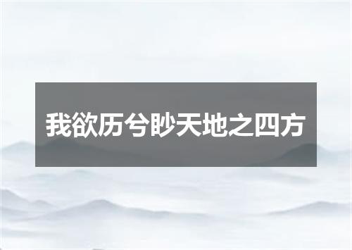 我欲历兮眇天地之四方