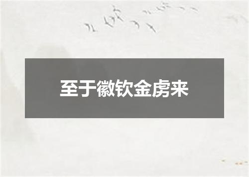 至于徽钦金虏来
