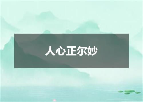 人心正尔妙