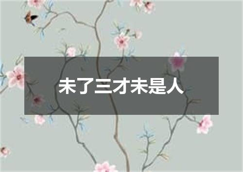 未了三才未是人