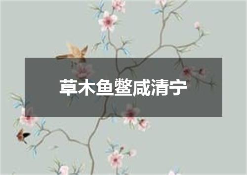 草木鱼鳖咸清宁
