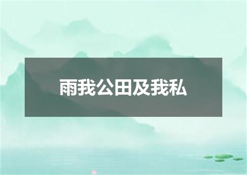 雨我公田及我私