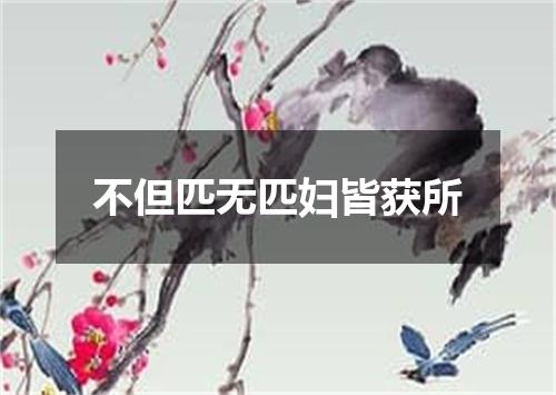 不但匹无匹妇皆获所