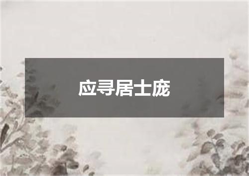 应寻居士庞