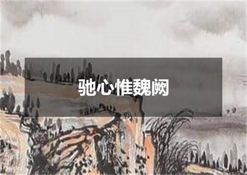 驰心惟魏阙