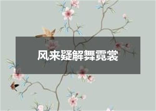 风来疑解舞霓裳