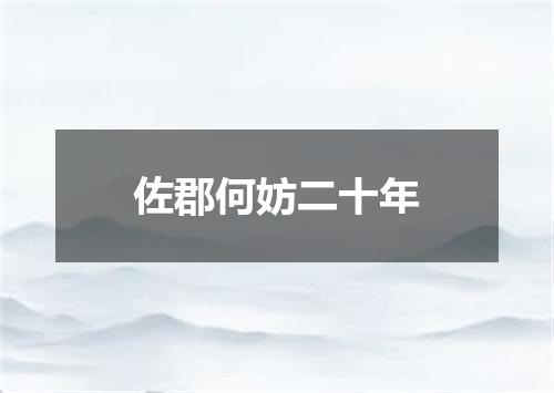 佐郡何妨二十年