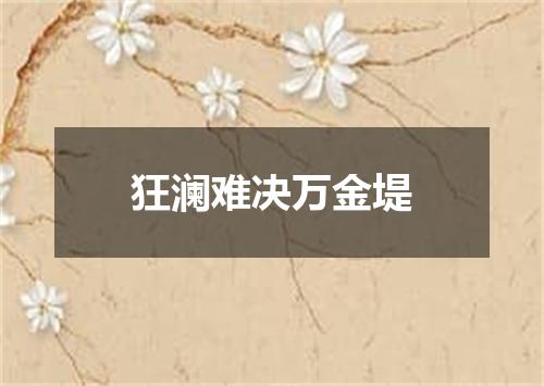 狂澜难决万金堤