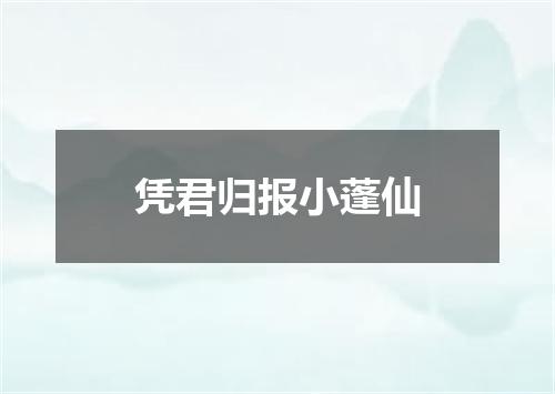 凭君归报小蓬仙