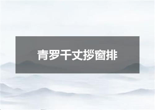 青罗千丈拶窗排