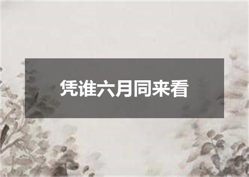 凭谁六月同来看