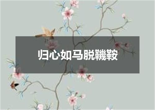 归心如马脱鞿鞍
