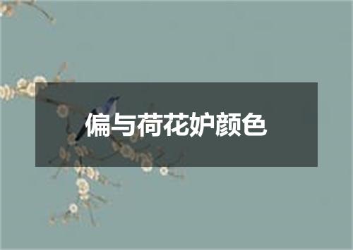 偏与荷花妒颜色