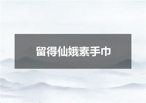 留得仙娥素手巾