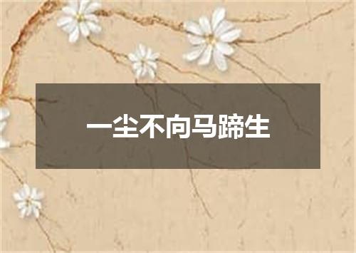 一尘不向马蹄生