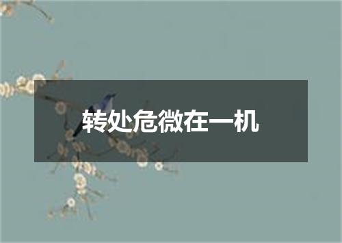 转处危微在一机