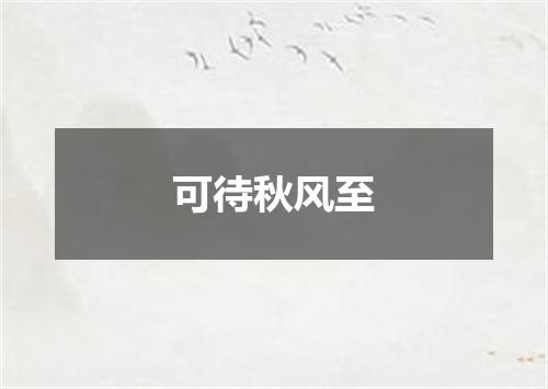 可待秋风至