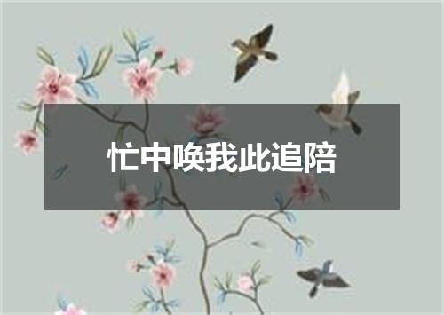 忙中唤我此追陪
