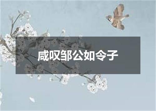 咸叹邹公如令子