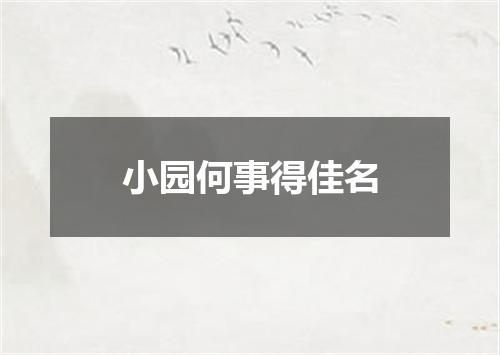 小园何事得佳名