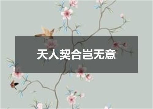 天人契合岂无意