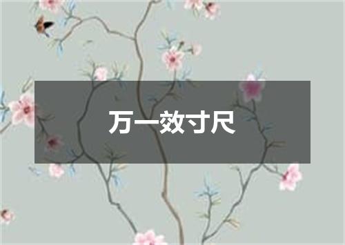 万一效寸尺