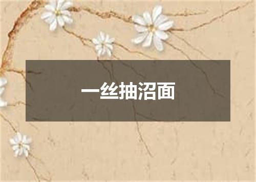 一丝抽沼面