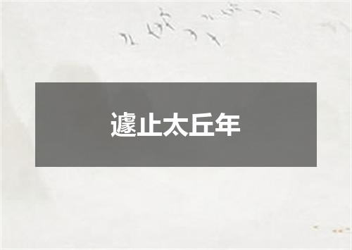 遽止太丘年