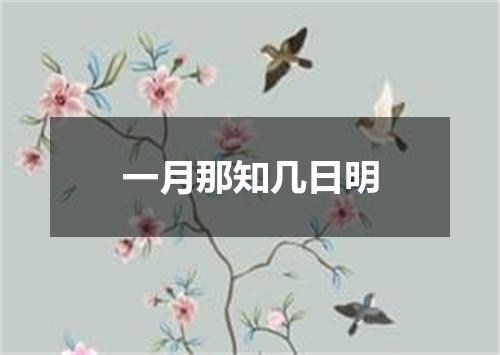 一月那知几日明