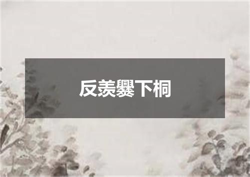 反羡爨下桐
