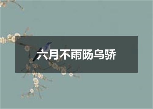 六月不雨旸乌骄
