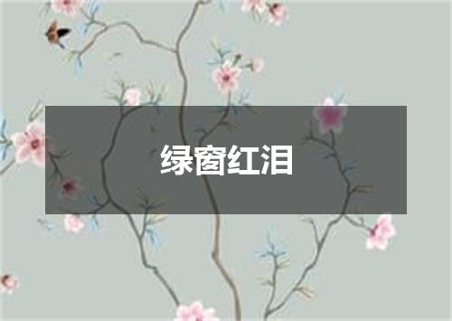 绿窗红泪